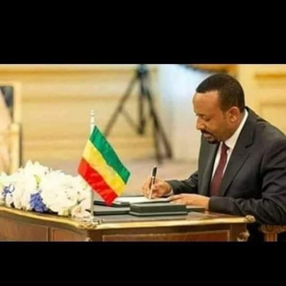 Meet your Posher, Yosef - Picture 1 of 1